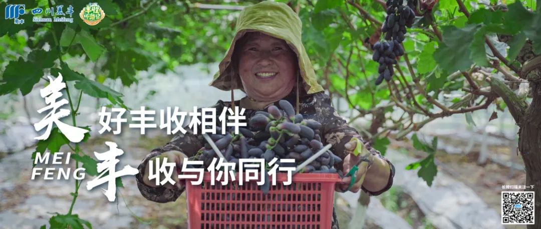 中国农资：跟随新葡的京集团350vip见证丰收之美
